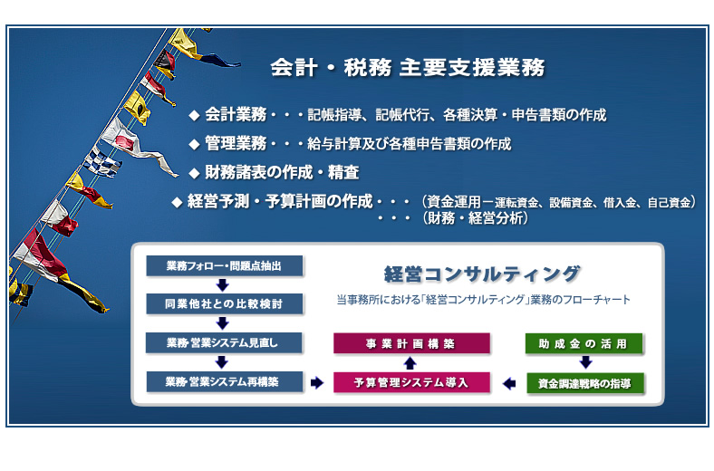 会計・税務支援業務・図解